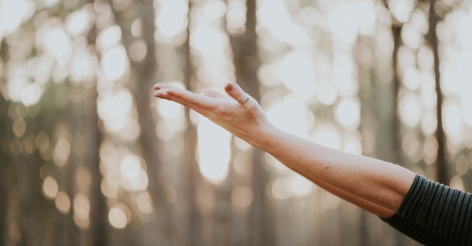 Counselling and Psychotherapy
